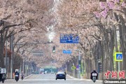 新昌共建“花园城市” 北京这场议政会“百花齐放”